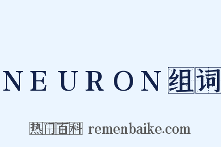 NEURON组词是什么意思的图片